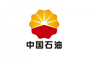 【石油行业】中国石油宝鸡石油钢管有限责任公司应用耐特信软件 ...