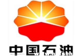 【石油石化】中国石油吉林石化分公司案例分析